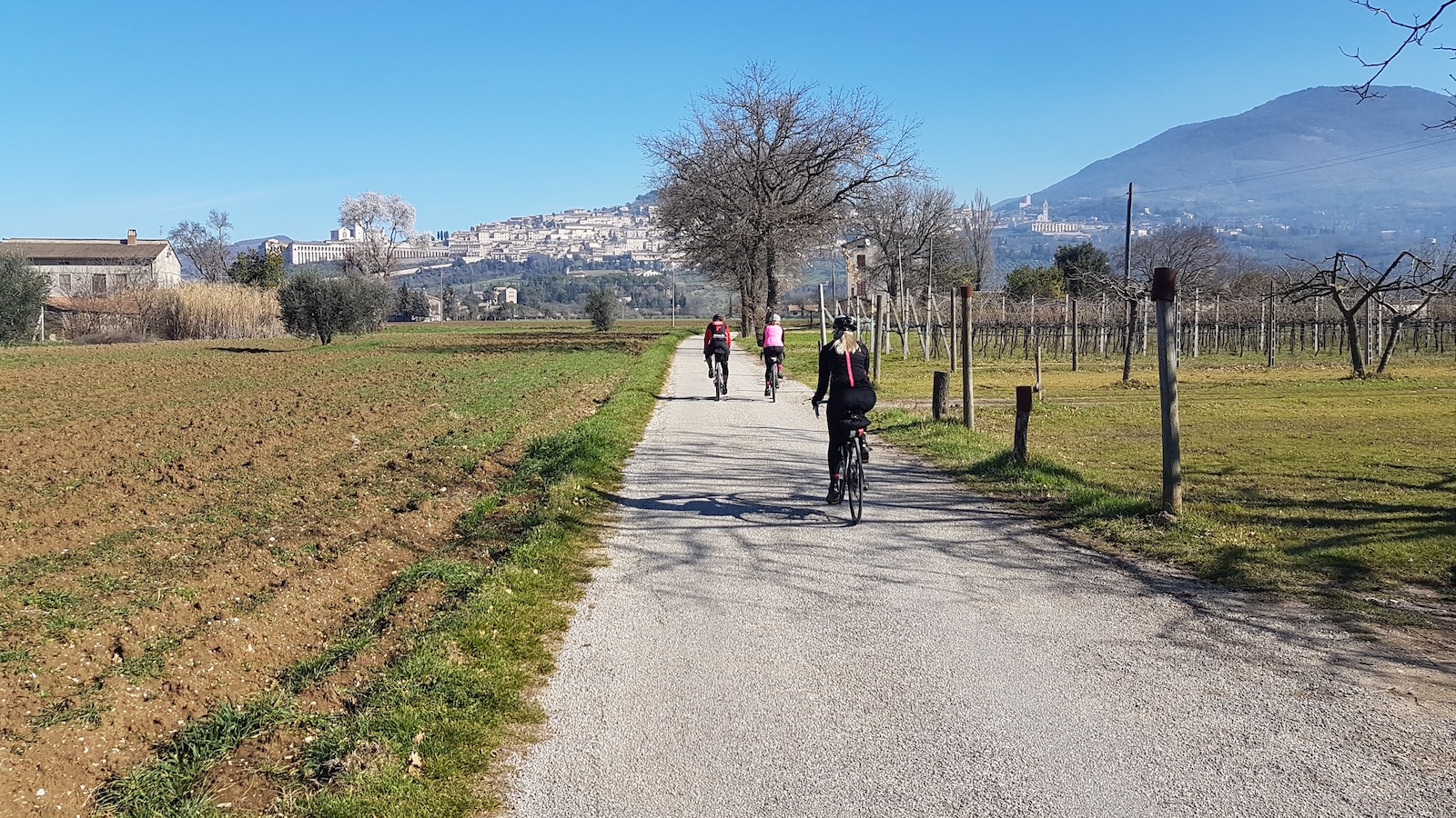 Assisi-Spello2