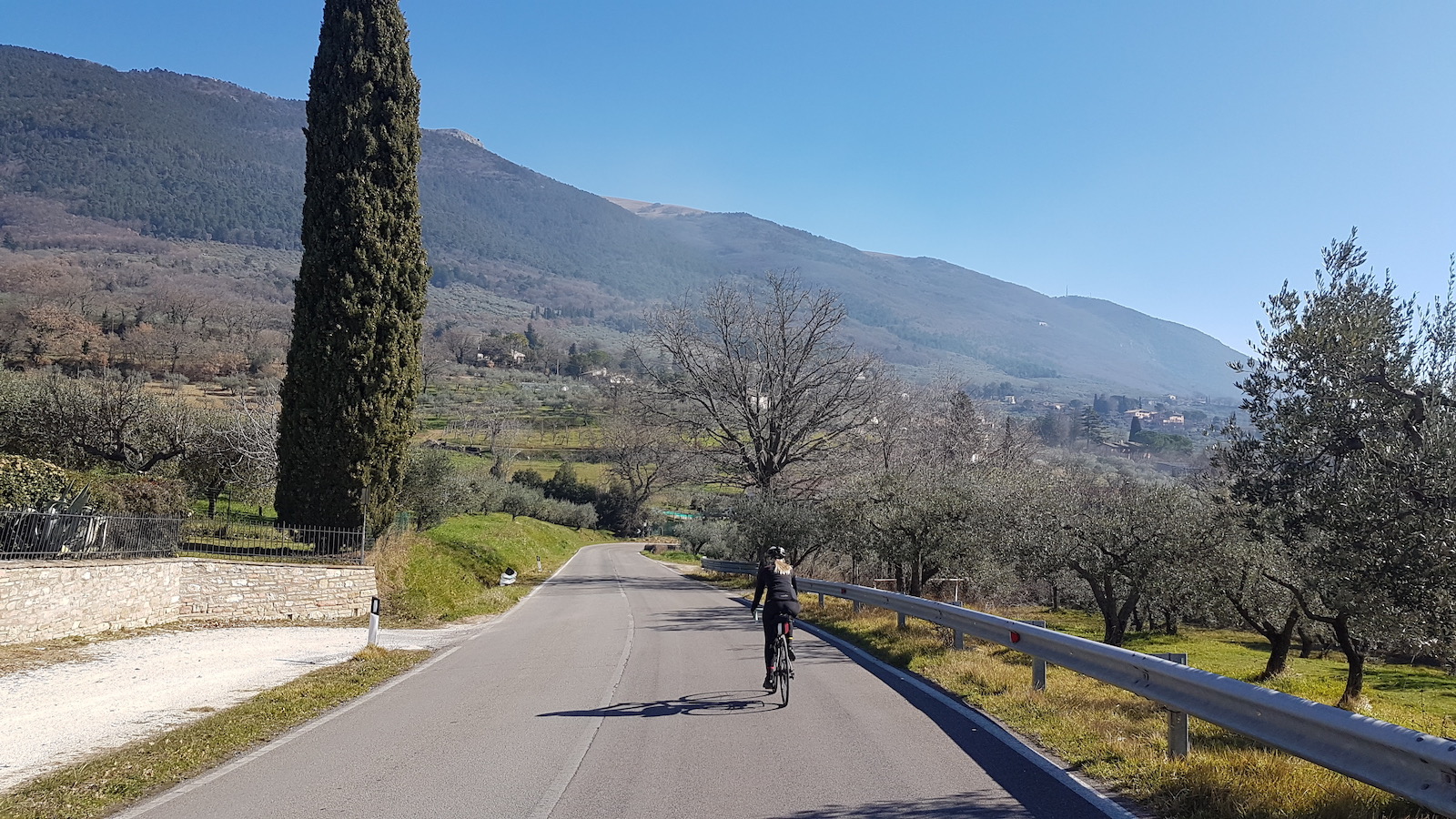 Assisi-Spello37