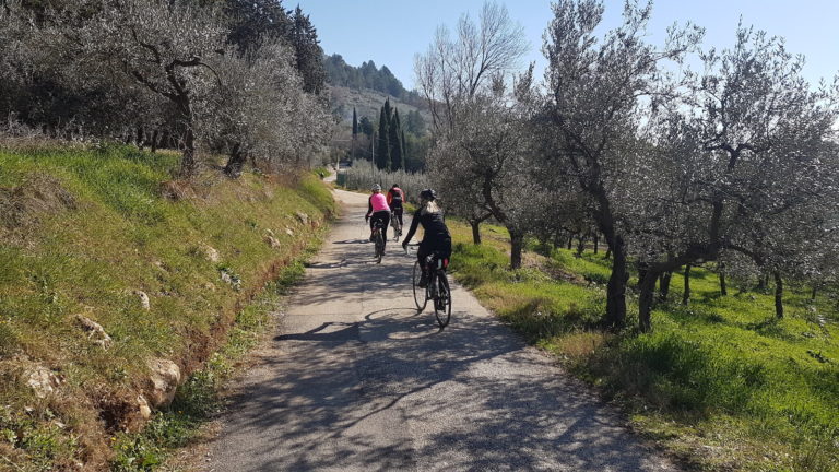 Assisi-Spello44