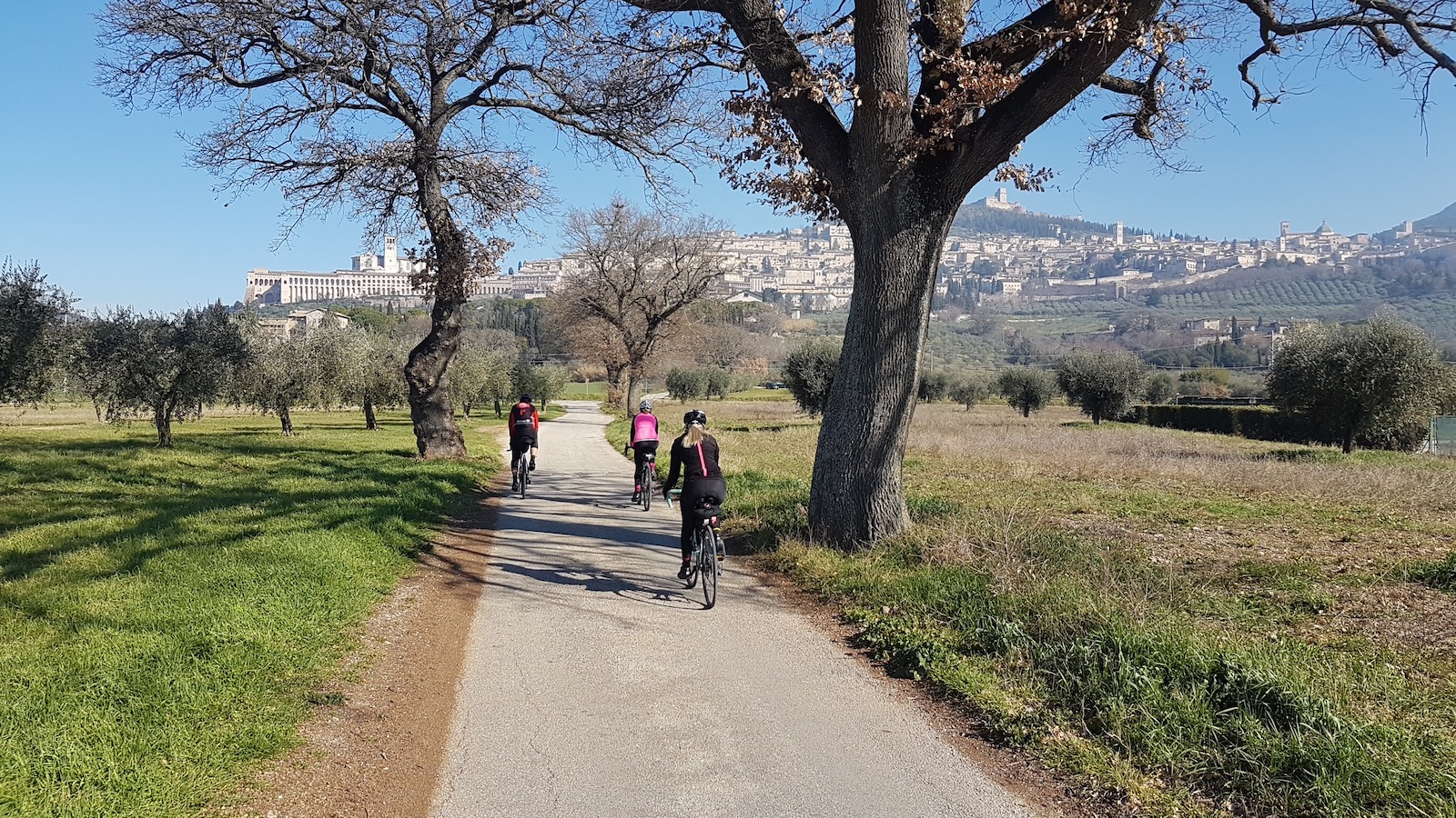 Assisi-Spello5