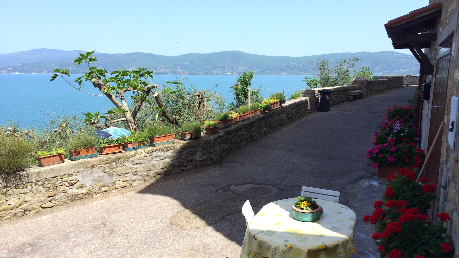 Monte del lago