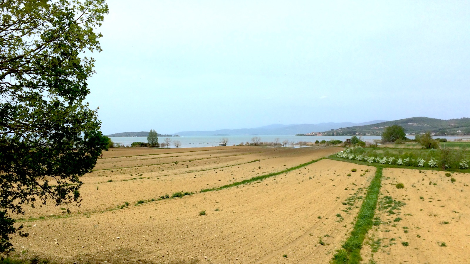 Trasiemno panorama10
