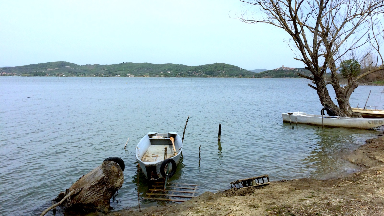 Trasimeno panorama13