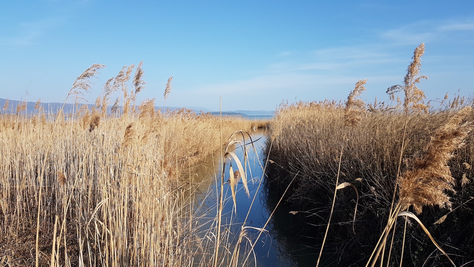 Trasimeno panorama4