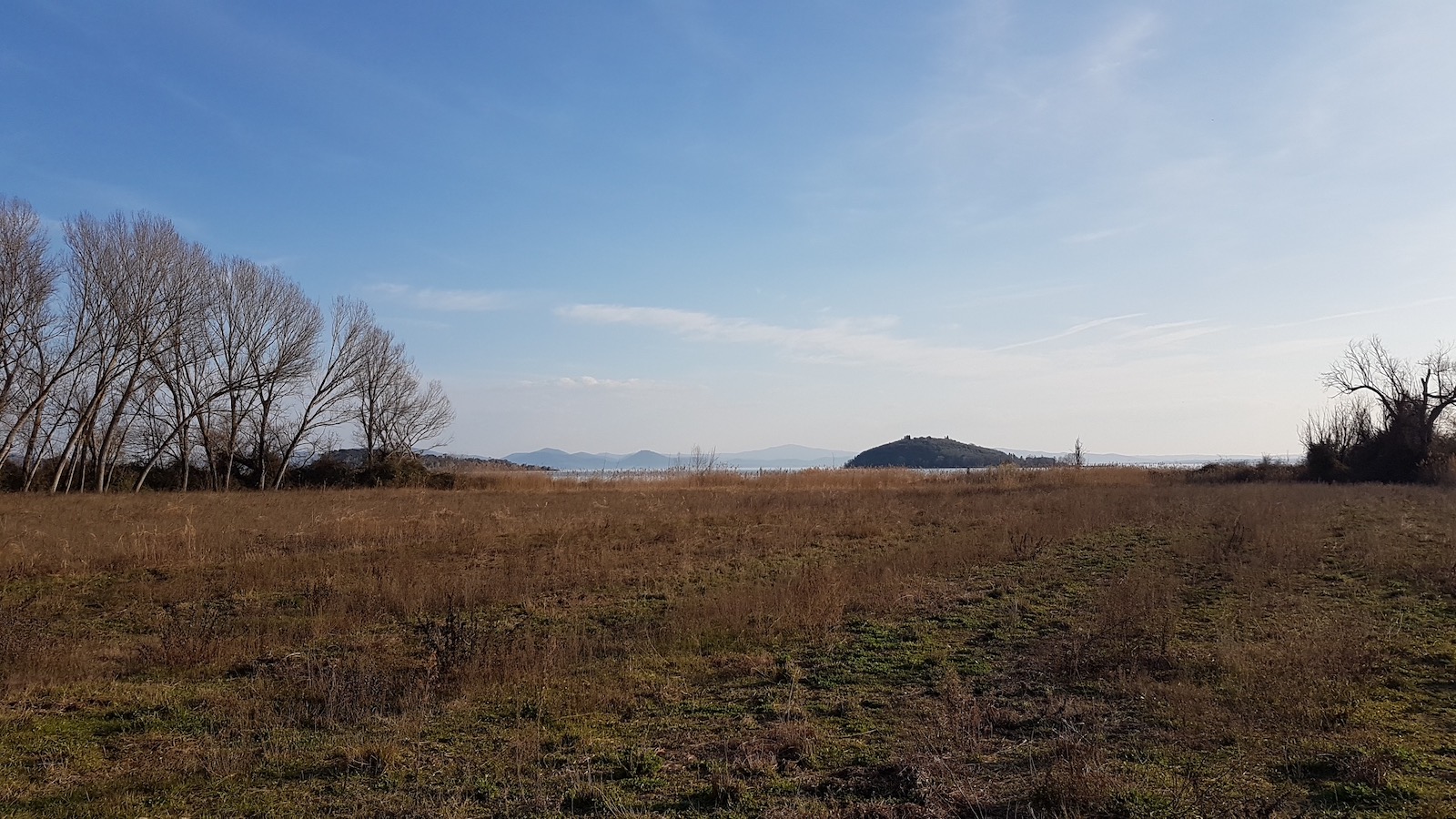 Trasimeno panorama5