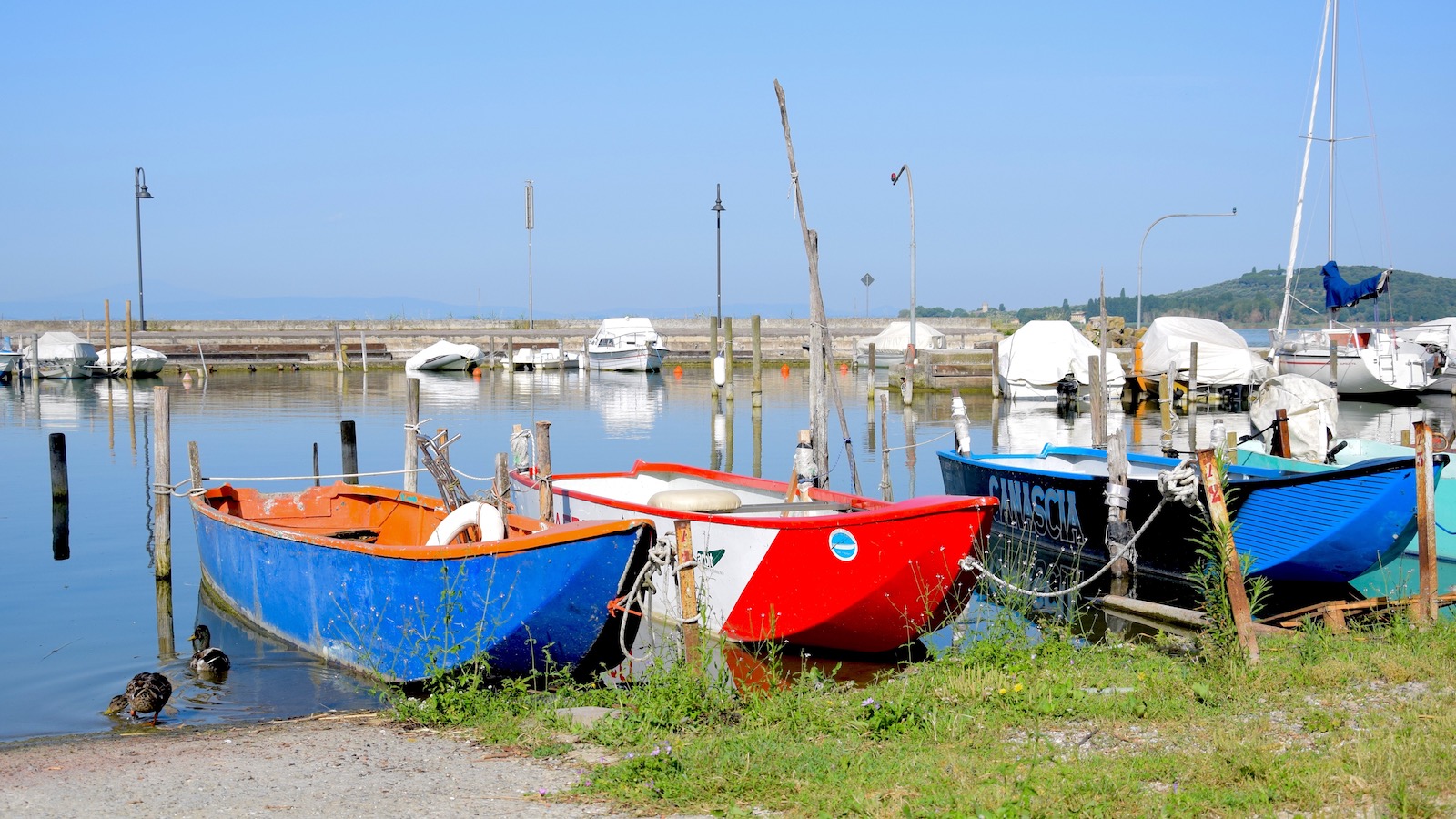 Trasimeno panorama9