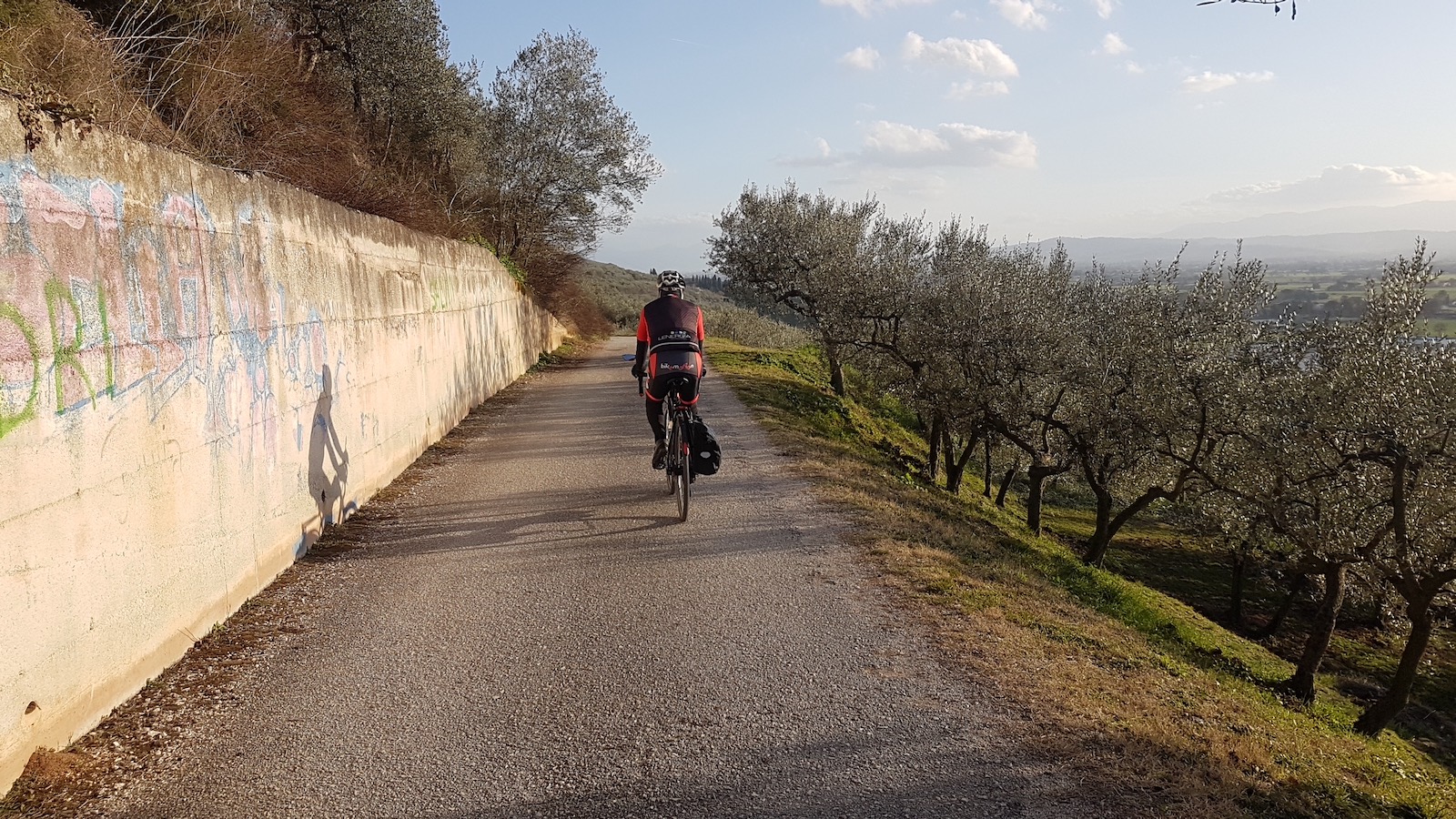 Via degli Ulivi1