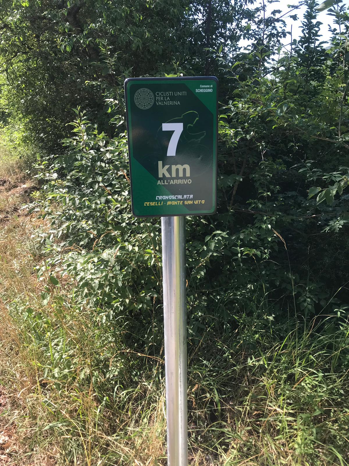 IMG-20190723-WA0005