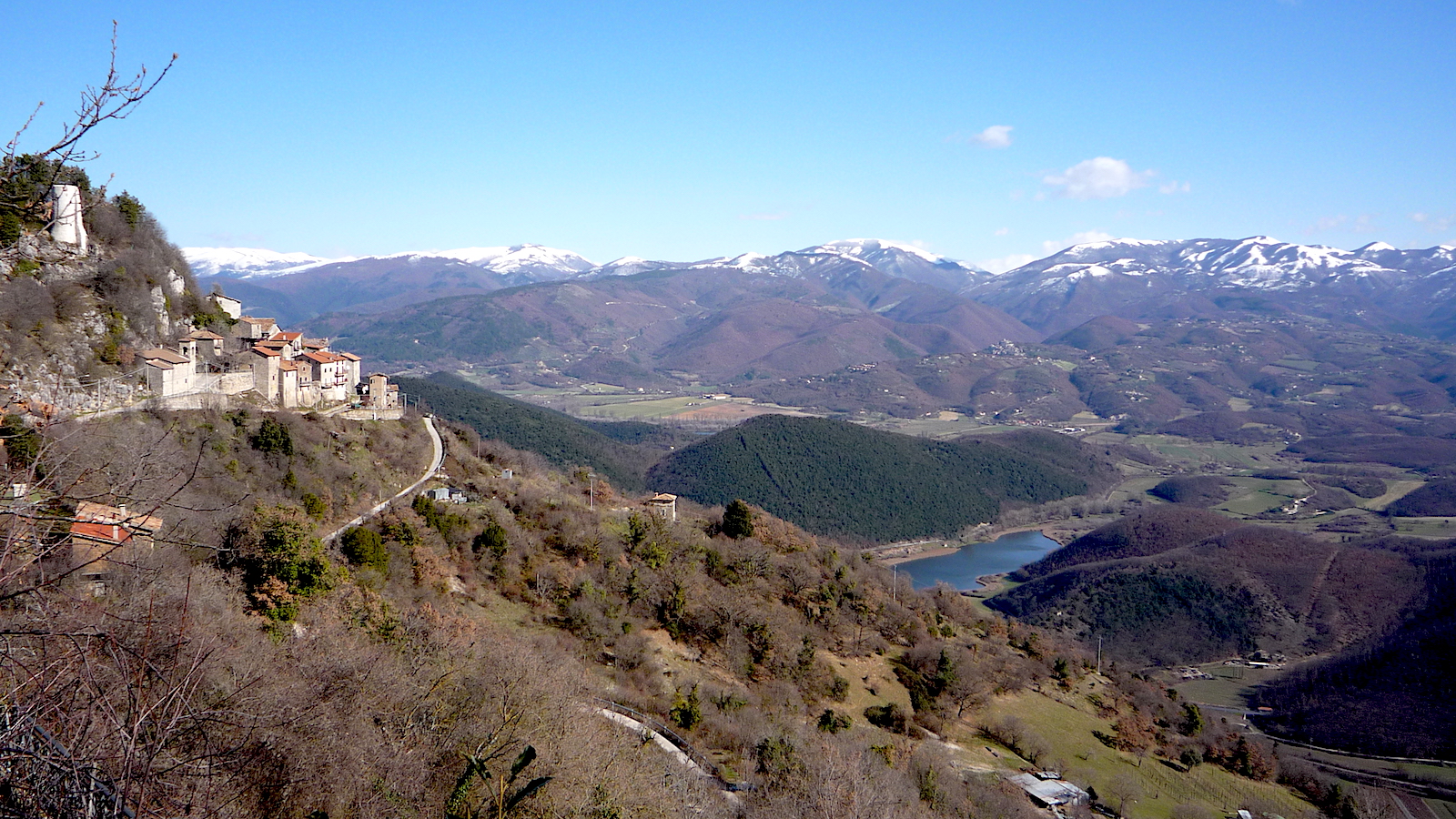 Moggio2