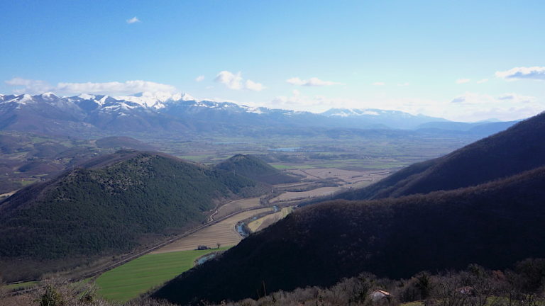 Moggio3