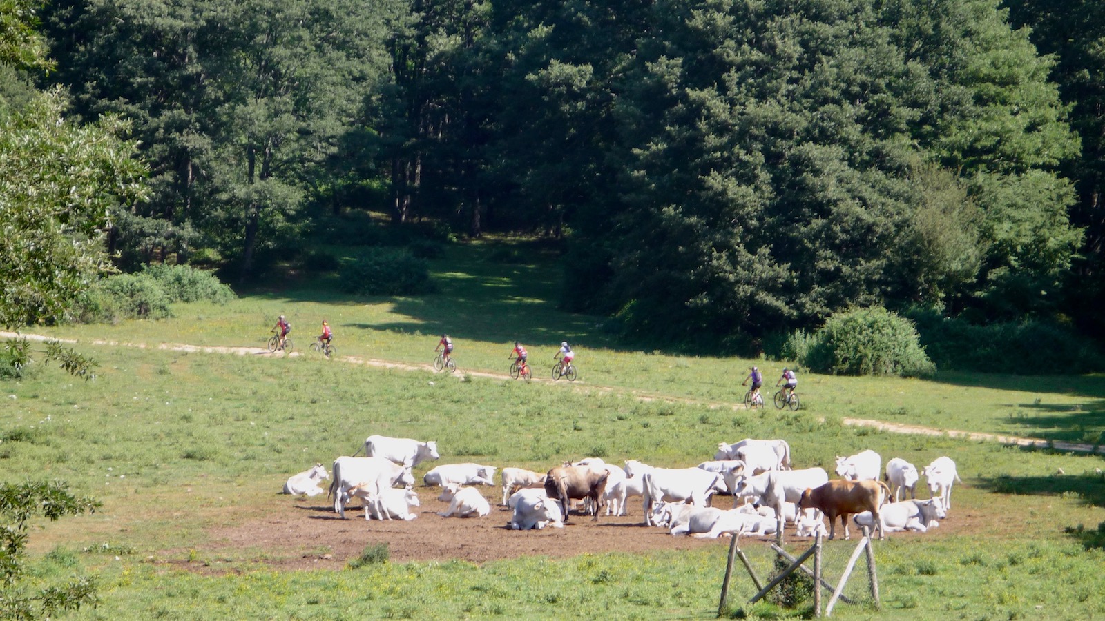 Prati di Stroncone3