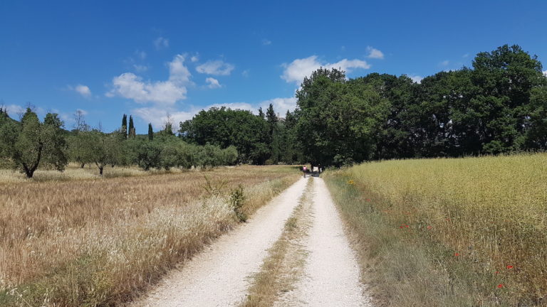 Campagna Orte12