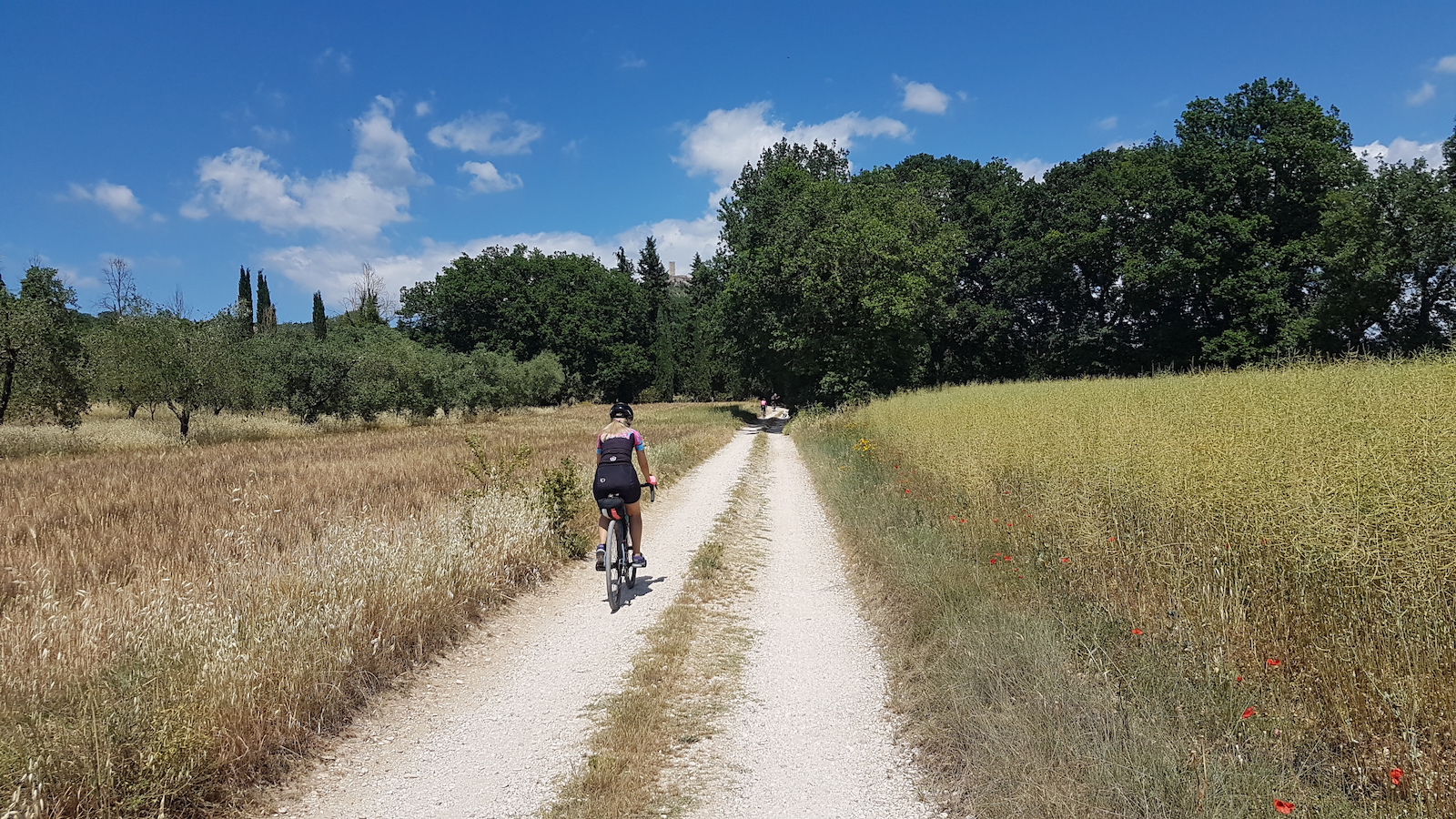 Campagna Orte13