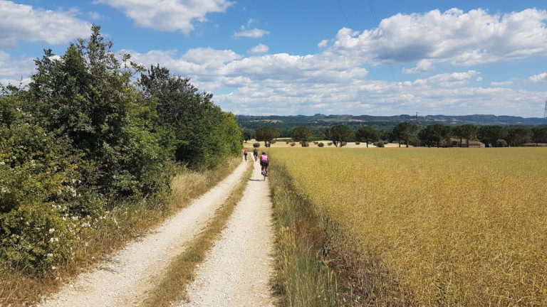 Campagna Orte14