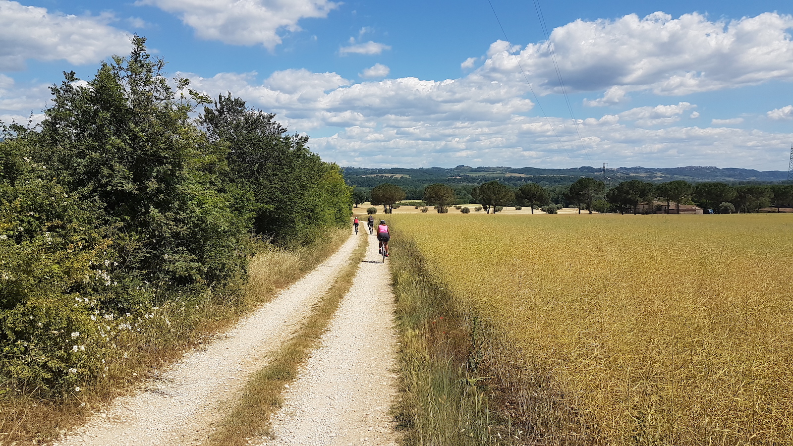 Campagna Orte14