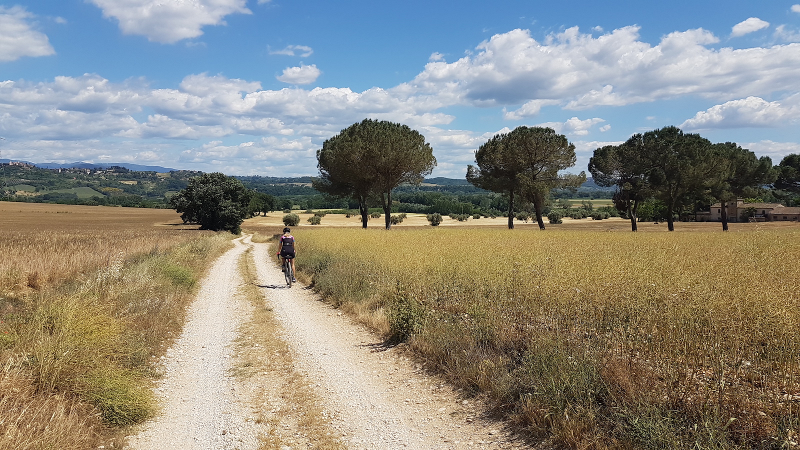 Campagna Orte16