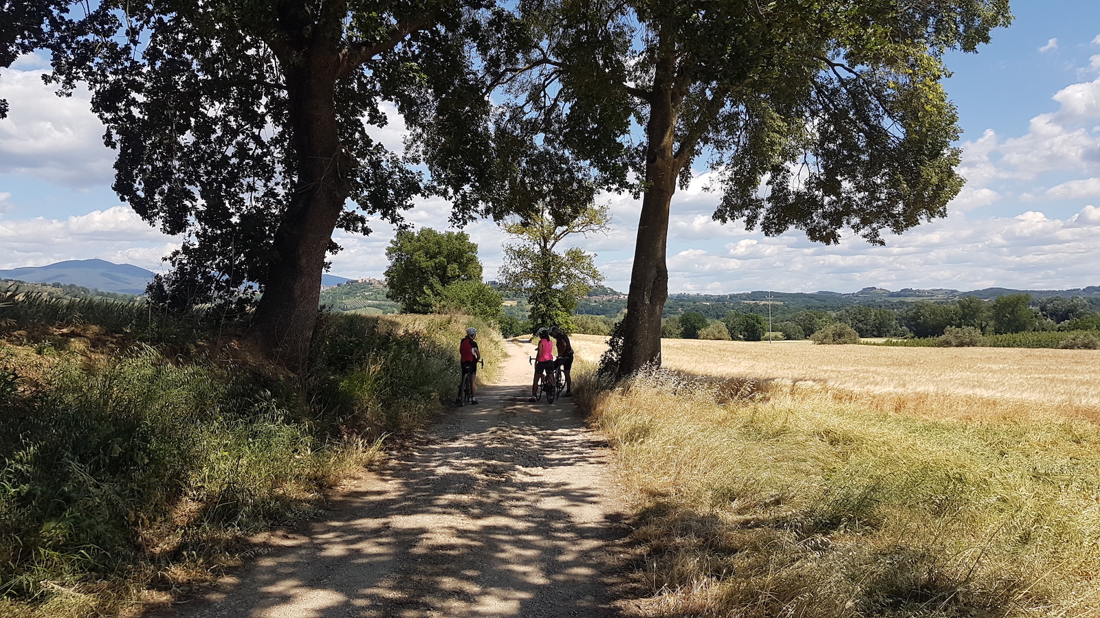 Campagna Orte17