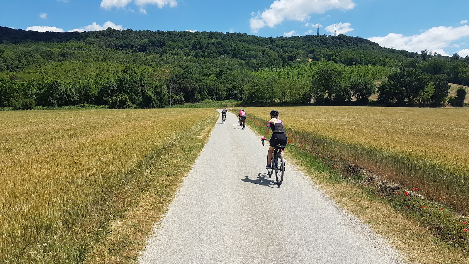 Campagna Orte2