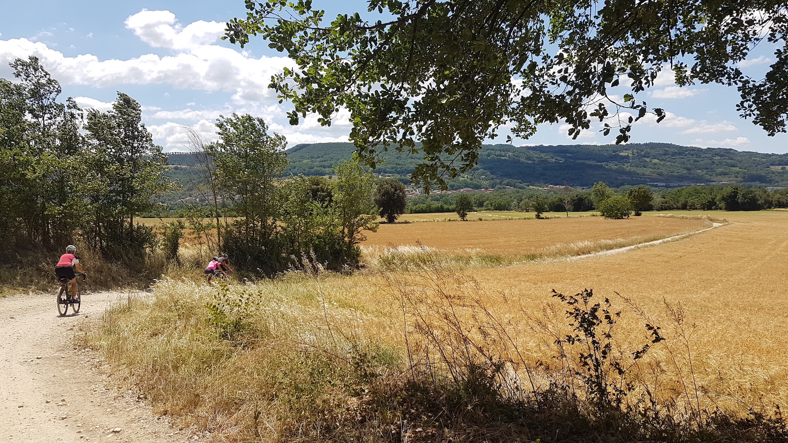 Campagna Orte4