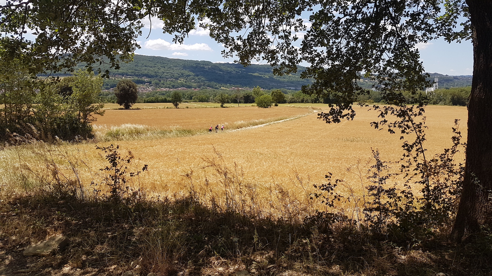 Campagna Orte5