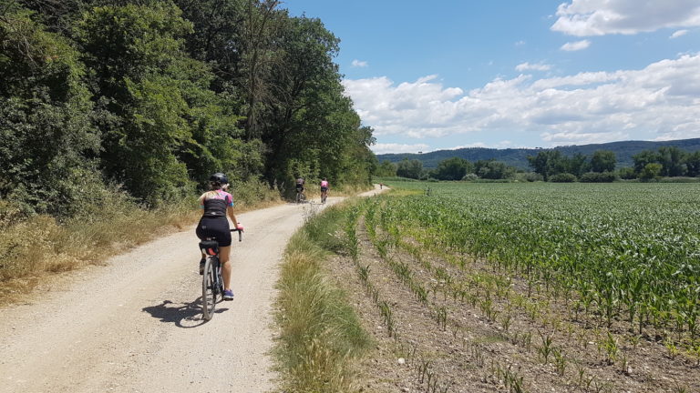 Campagna Orte9