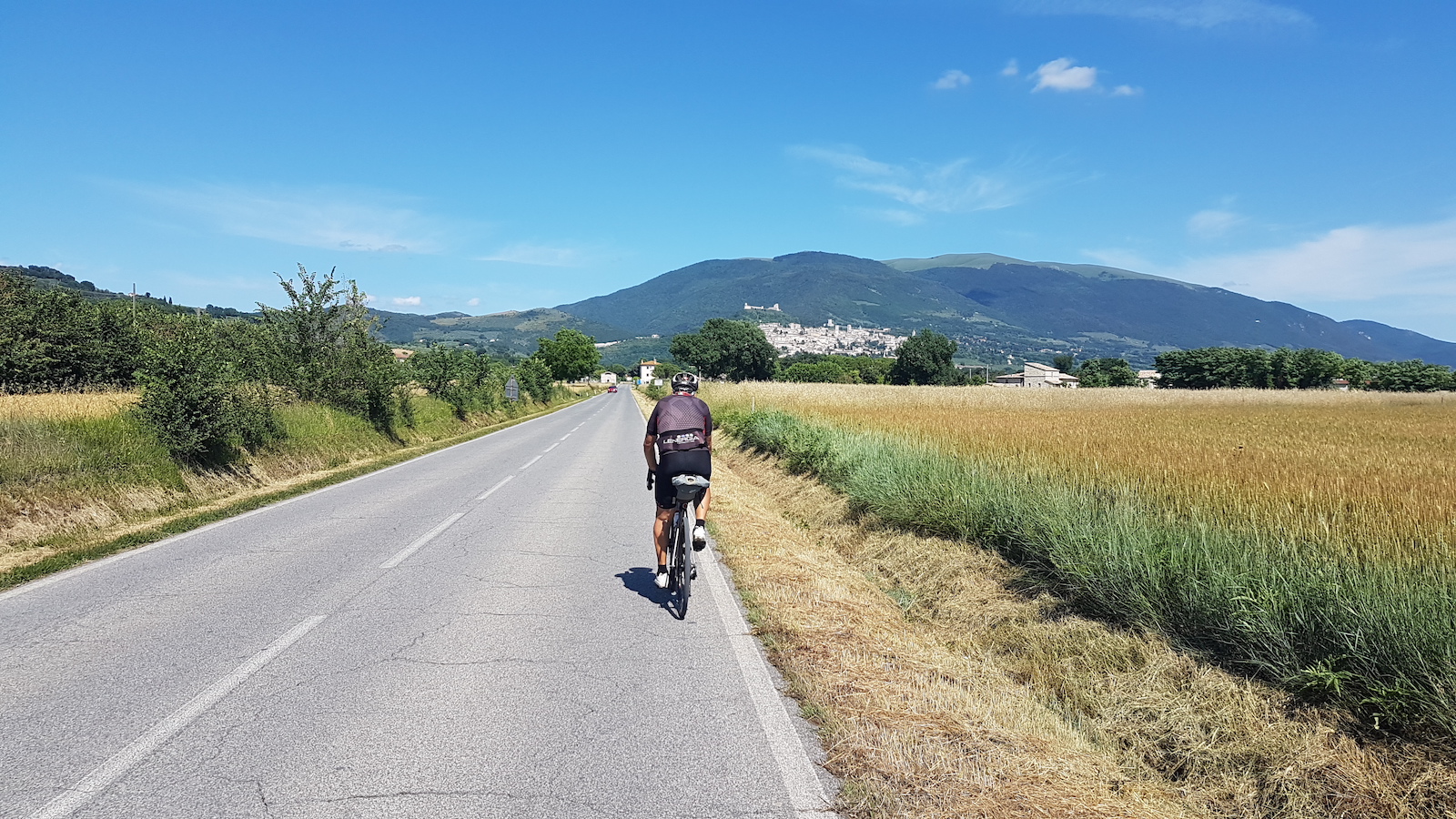 Assisi1