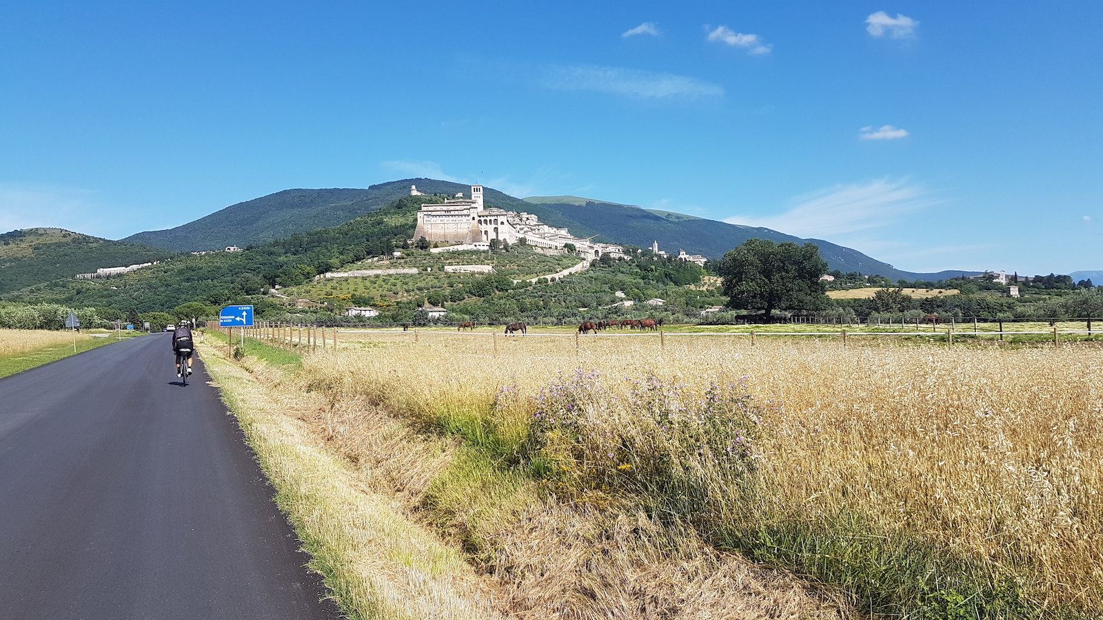 Assisi2