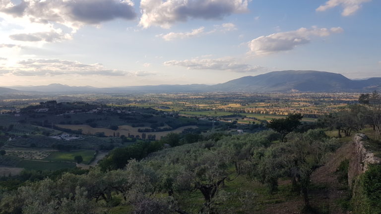 Montefalco6