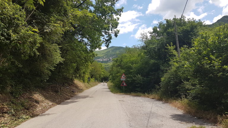 Polino5