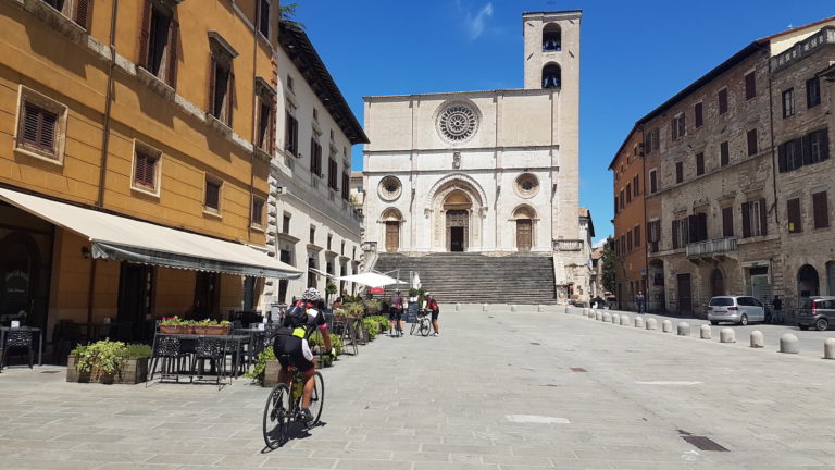 Todi4
